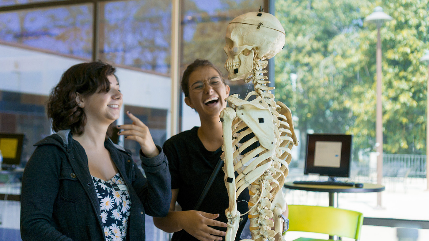 Students working with a skeleton