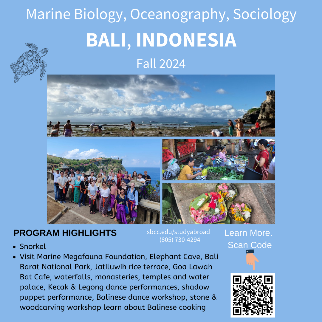 Bali program poster